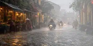 Read more about the article When the rains arrive