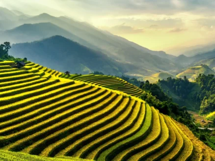 Mu Cang Chai - Hero picture