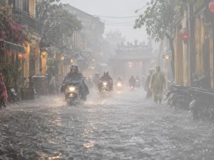 Rainy Season - Hero picture1