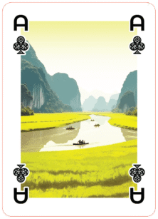 Serene river paths winding through rice fields and limestone cliffs—often called “Ha Long Bay on land” for its majestic beauty