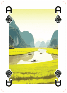 Serene river paths winding through rice fields and limestone cliffs—often called “Ha Long Bay on land” for its majestic beauty