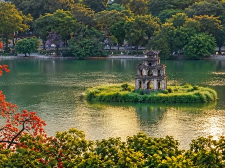 Turtle Tower Hanoi - Hero picture